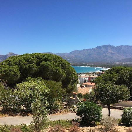 Appartement Calvi Calvi  Esterno foto