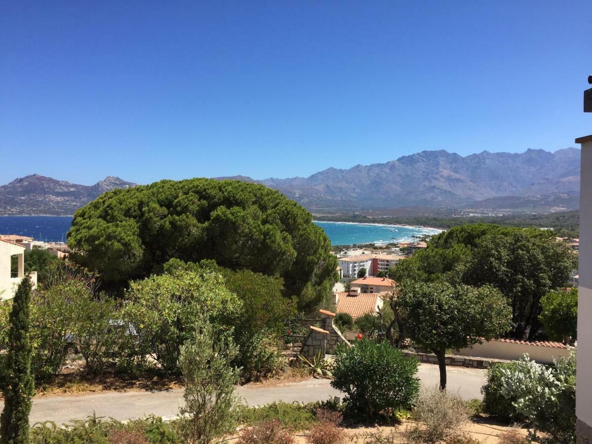 Appartement Calvi Calvi  Esterno foto